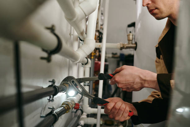 Best Plumbing Services Near Me  in Fulton, IL